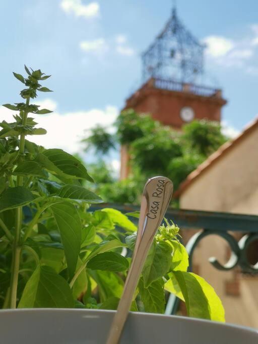 Casa Rosa, Un Petit Cocon Catalan Villa Ortaffa Ngoại thất bức ảnh